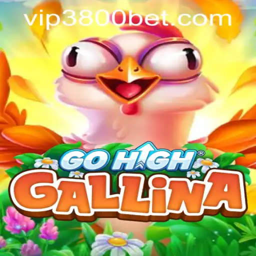 Exploring the Thrills of GoHighGallina and the 3800bet PH Login Experience